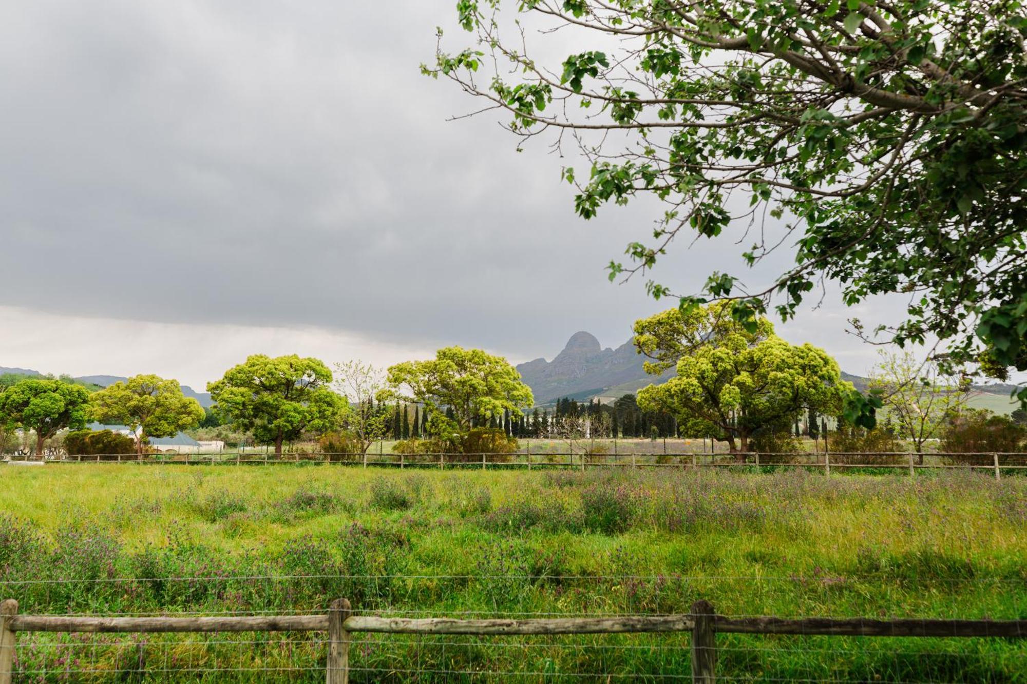 Marshden Estate Bed & Breakfast Stellenbosch Ngoại thất bức ảnh