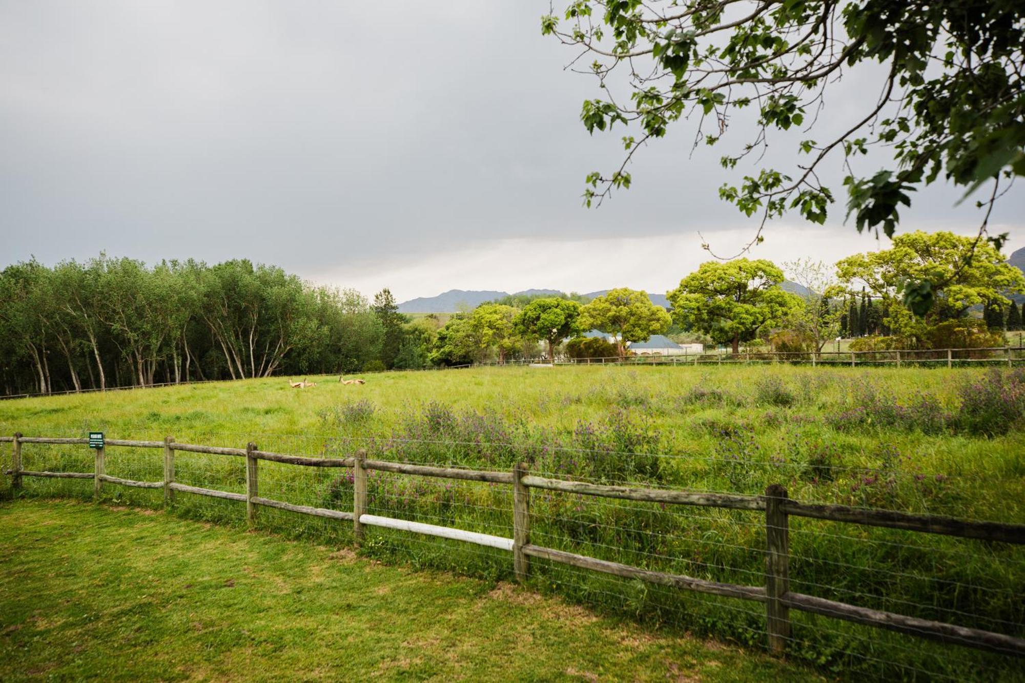 Marshden Estate Bed & Breakfast Stellenbosch Ngoại thất bức ảnh