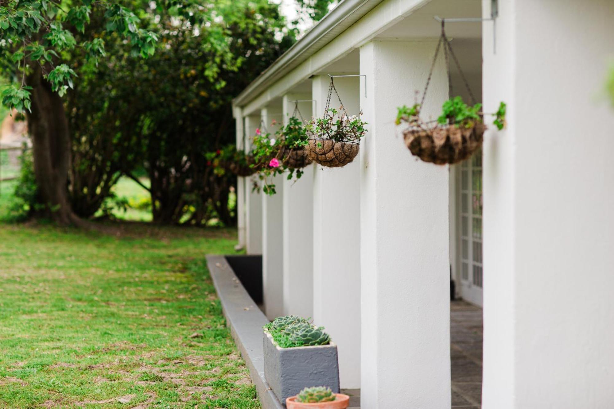 Marshden Estate Bed & Breakfast Stellenbosch Ngoại thất bức ảnh