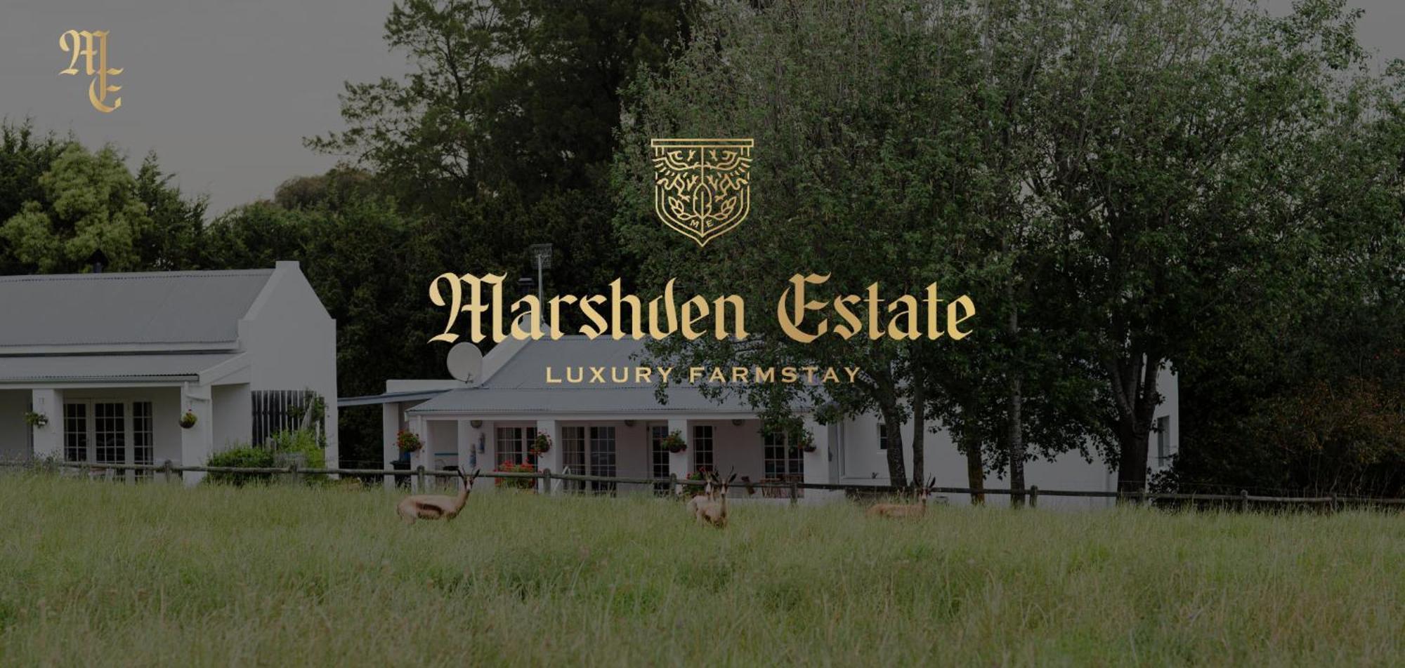Marshden Estate Bed & Breakfast Stellenbosch Ngoại thất bức ảnh
